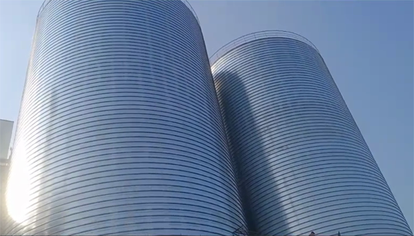 黄梅2座混凝土高架卷板仓